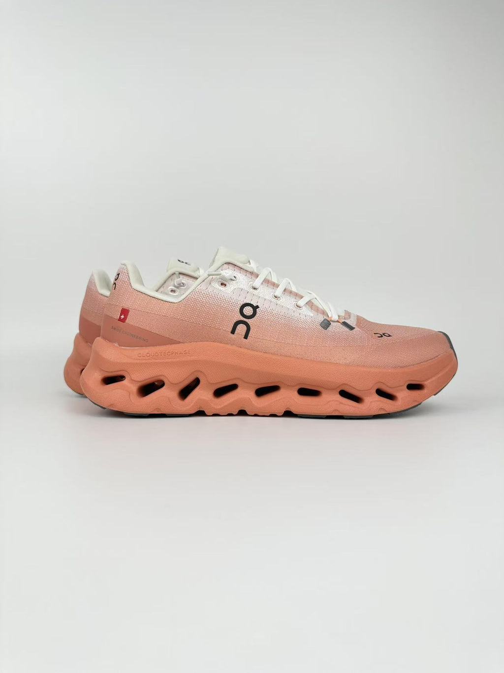 ON CLOUD Saumon